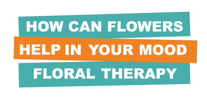 ¿CÓMO PUEDEN LAS FLORES AYUDAR A TU ESTADO DE ANIMO? TERAPIA FLORAL