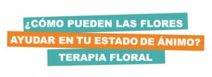 ¿CÓMO PUEDEN LAS FLORES AYUDAR A TU ESTADO DE ANIMO? TERAPIA FLORAL